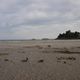 Am Strand von Dinard...