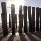 Am Strand von Domburg