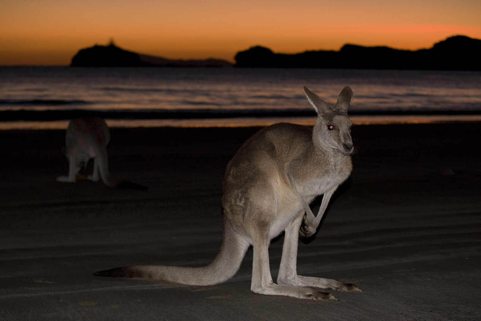 Am Strand von down under