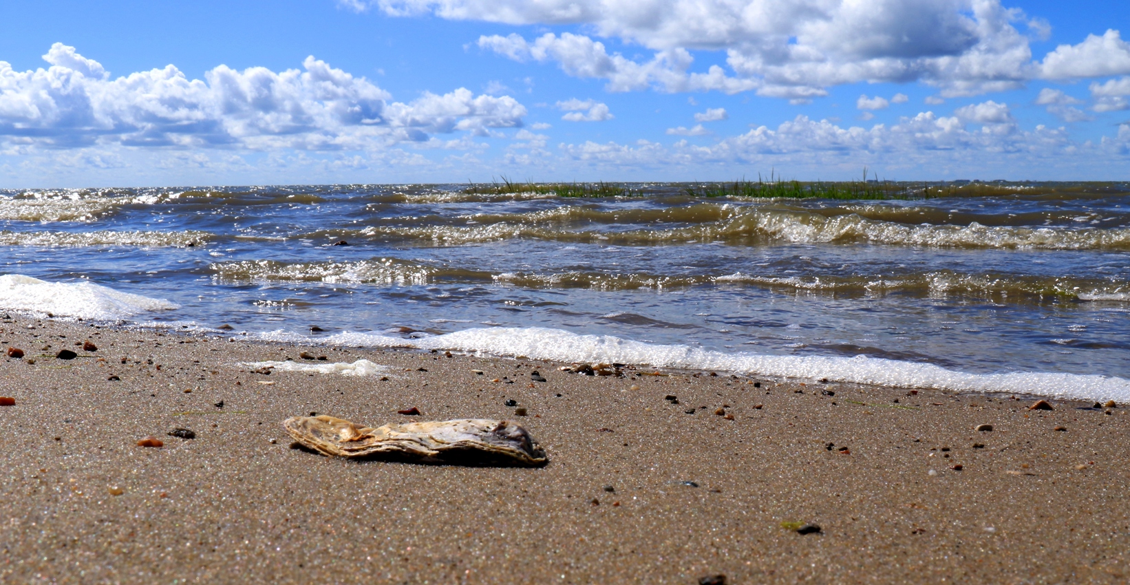 Am Strand von Emmerlev/Klev Dk.