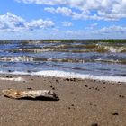 Am Strand von Emmerlev/Klev Dk.