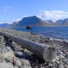 Am Strand von Flateyri Island/Iceland