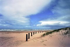 am Strand von Fraser Island