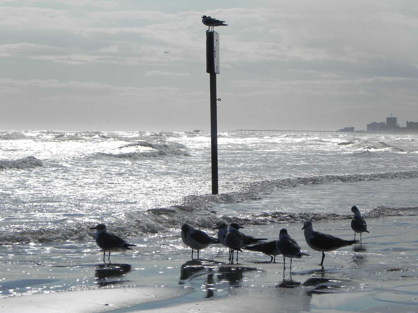 Am Strand von Galveston (Texas)