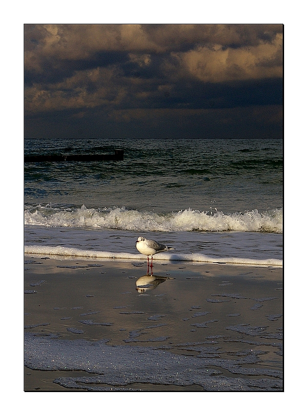 Am Strand von Graal-Müritz