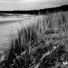 Am Strand von Grzybowo