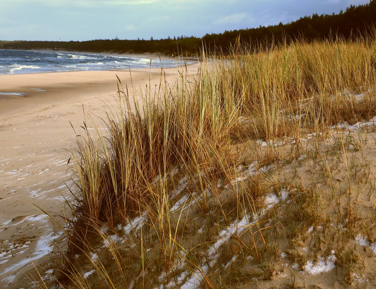 Am Strand von Grzybowo