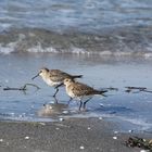 Am Strand von Hiddensee