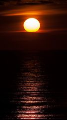 Am Strand von Hiddensee