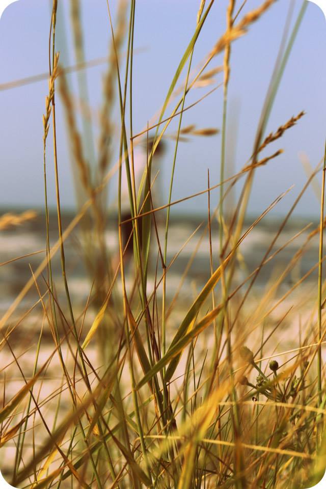 Am Strand von Hiddensee