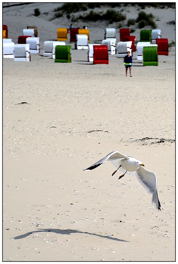 Am Strand von Juist (1)