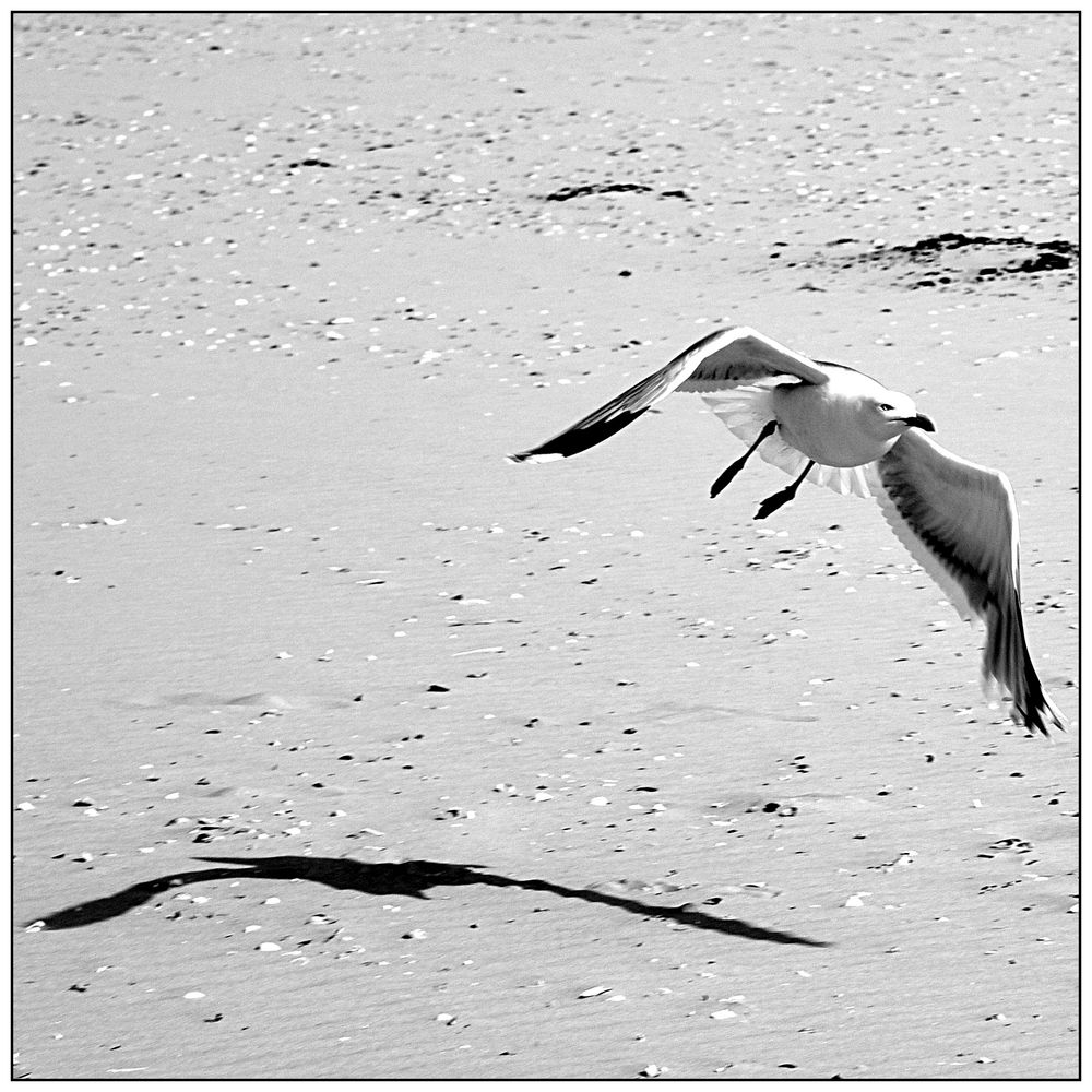 Am Strand von Juist (1b)