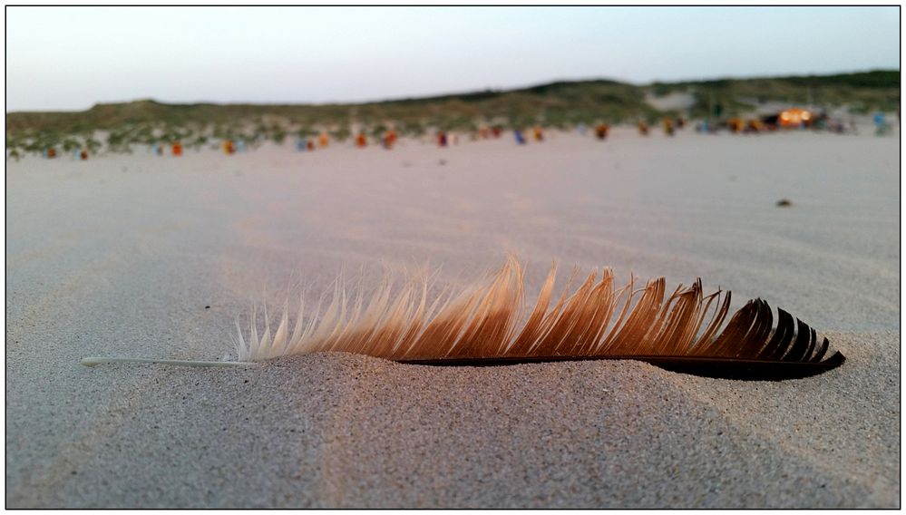 Am Strand von Juist (5)