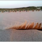 Am Strand von Juist (5)