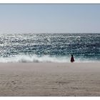 Am Strand von Kapstadt