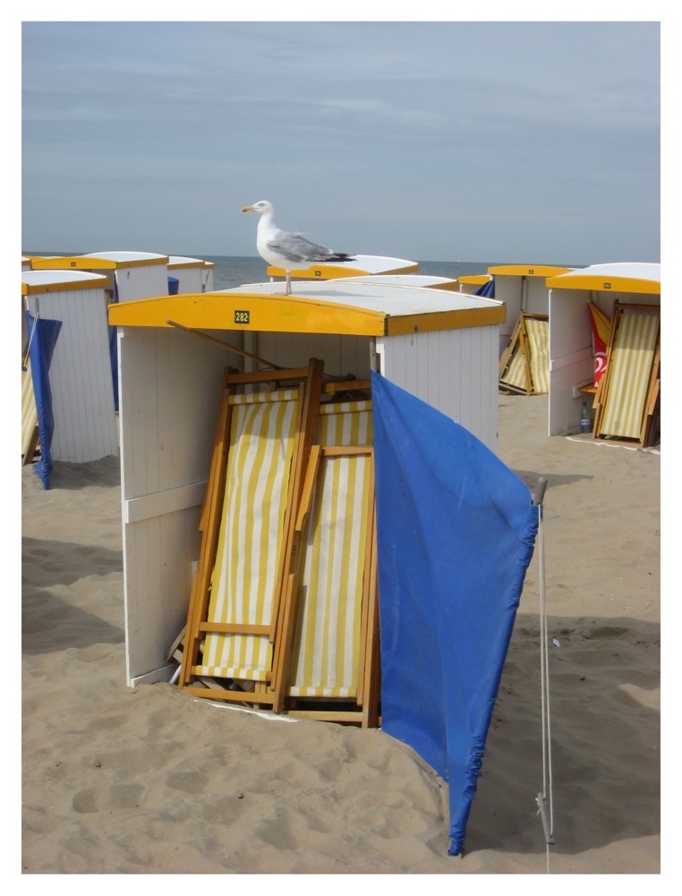 Am Strand von Katwijk