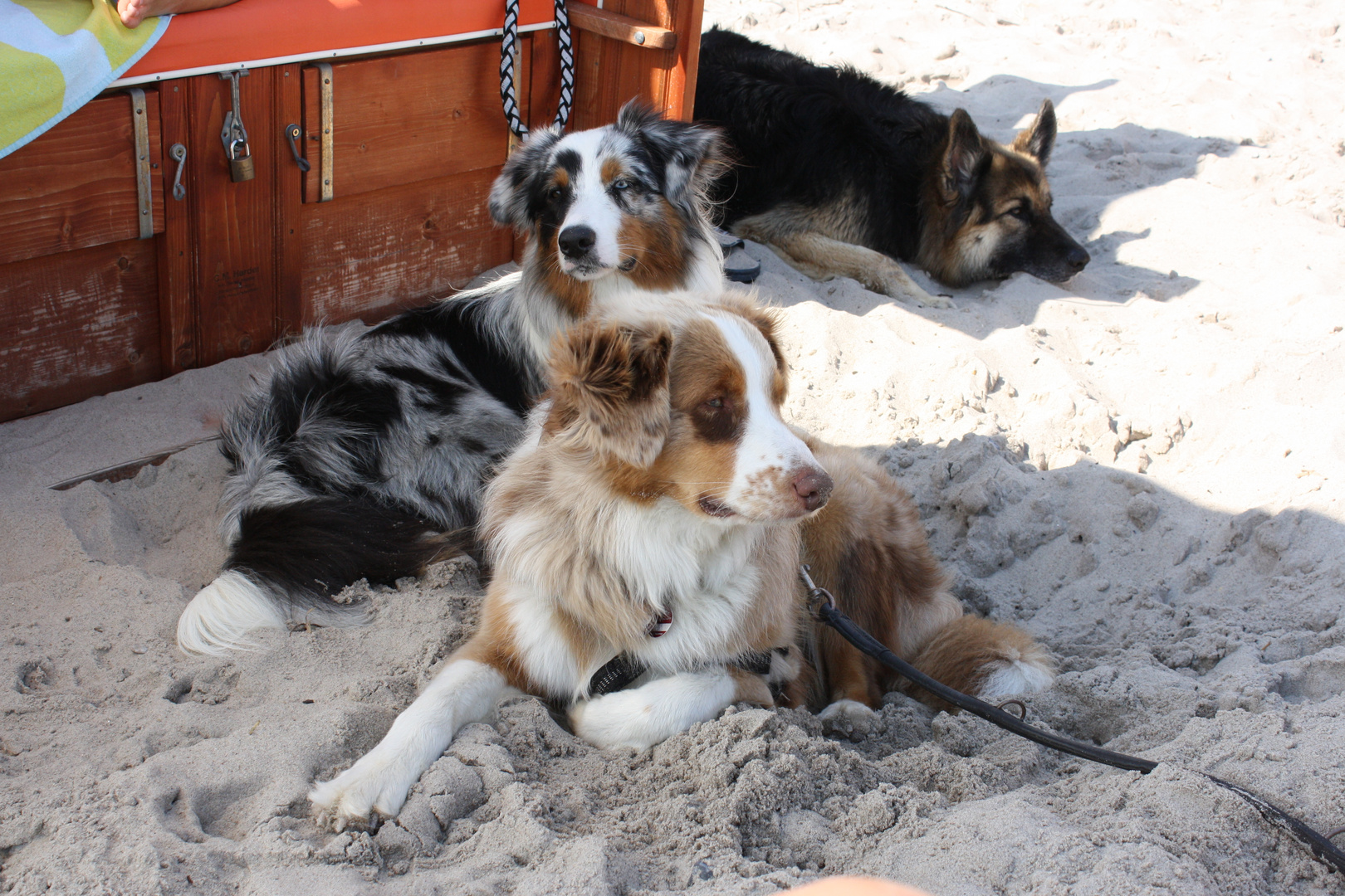 Am Strand von Kellenhusen