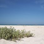 Am Strand von Keremma (Bretagne)