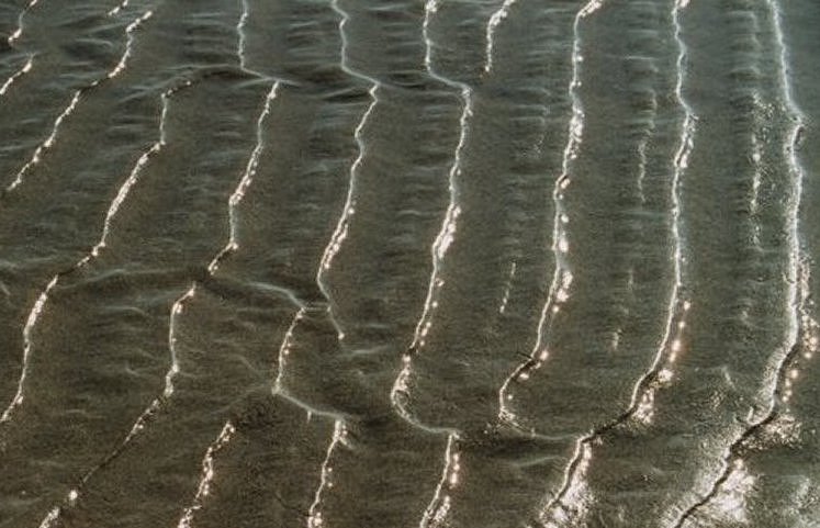 Am Strand von Killadoon, Co. Mayo, Irland