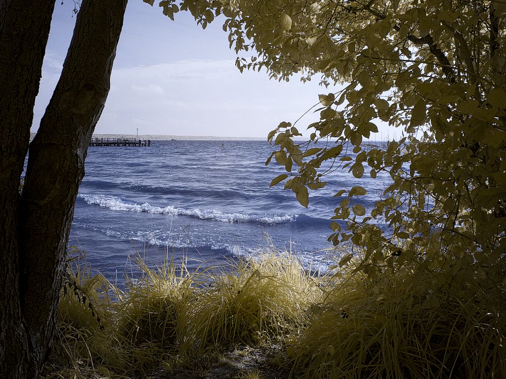 Am Strand von Klink II