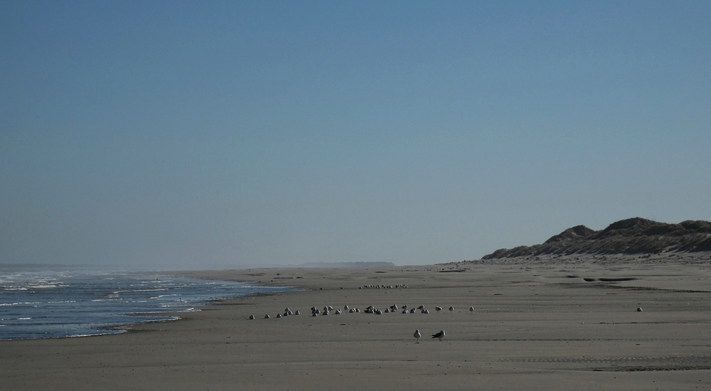 Am Strand von Langeoog