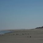 Am Strand von Langeoog