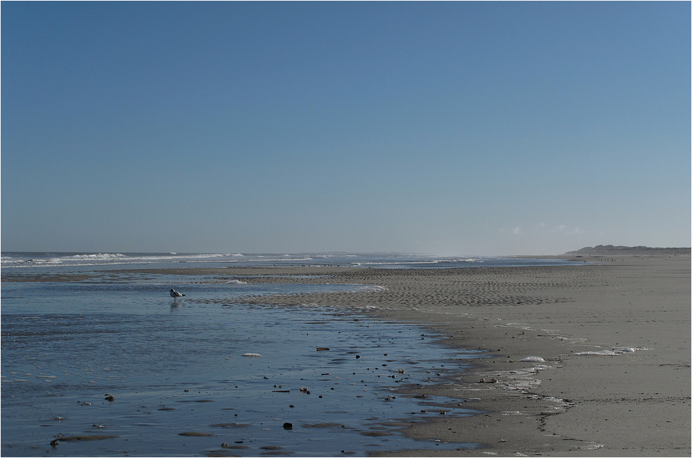 Am Strand von Langeoog 7