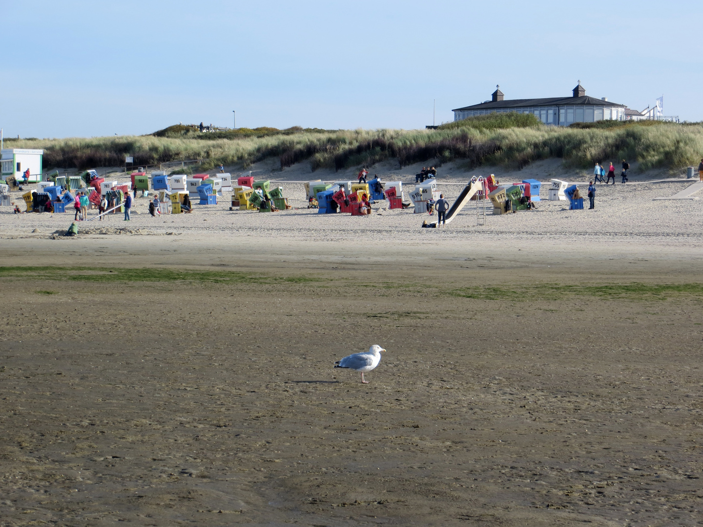 Am Strand von Langeoog...