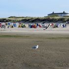 Am Strand von Langeoog...