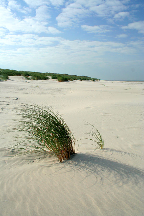 am strand von langeoog