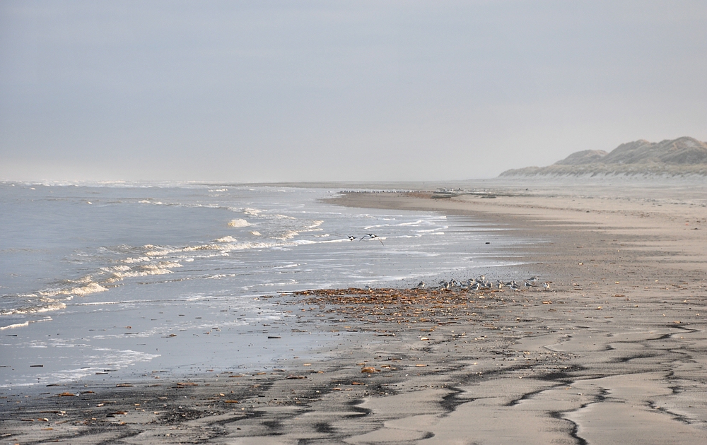 Am Strand von Langeoog