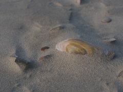 ~ am Strand von Langeoog ~