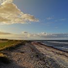 Am Strand von Lippe