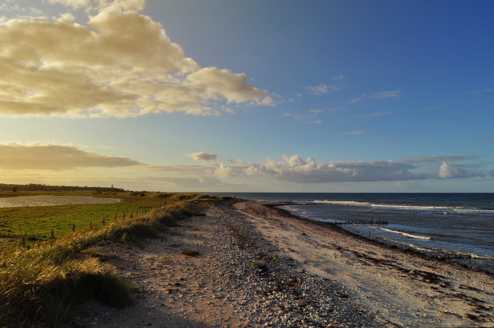 Am Strand von Lippe