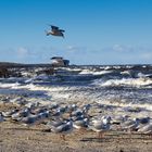 Am Strand von Lubmin