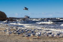 Am Strand von Lubmin