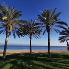 Am Strand von Malaga