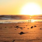 am Strand von Malibu