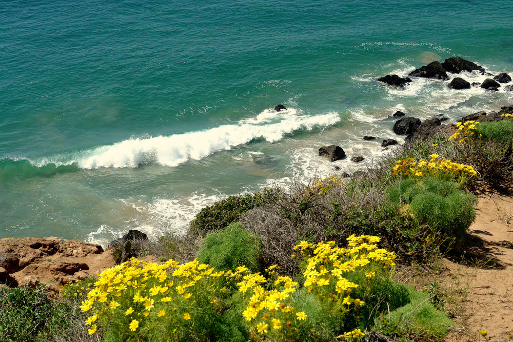 Am Strand von Malibu...