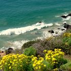 Am Strand von Malibu...