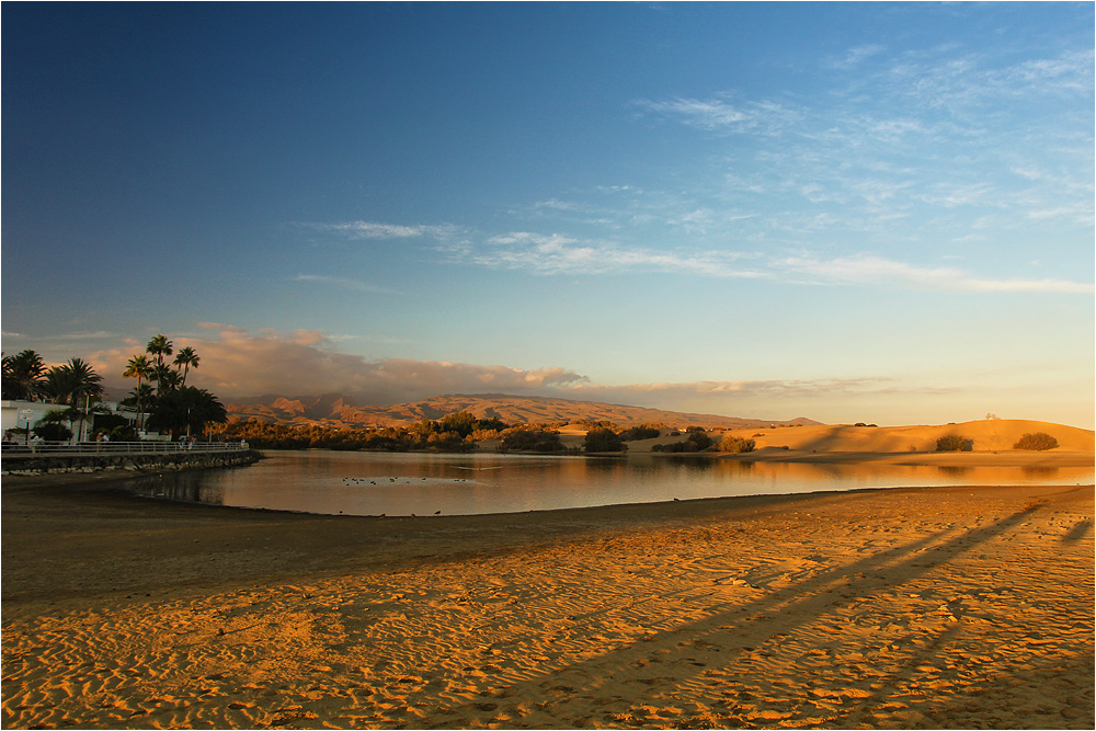 :: ~ Am Strand von Maspalomas ~ ::