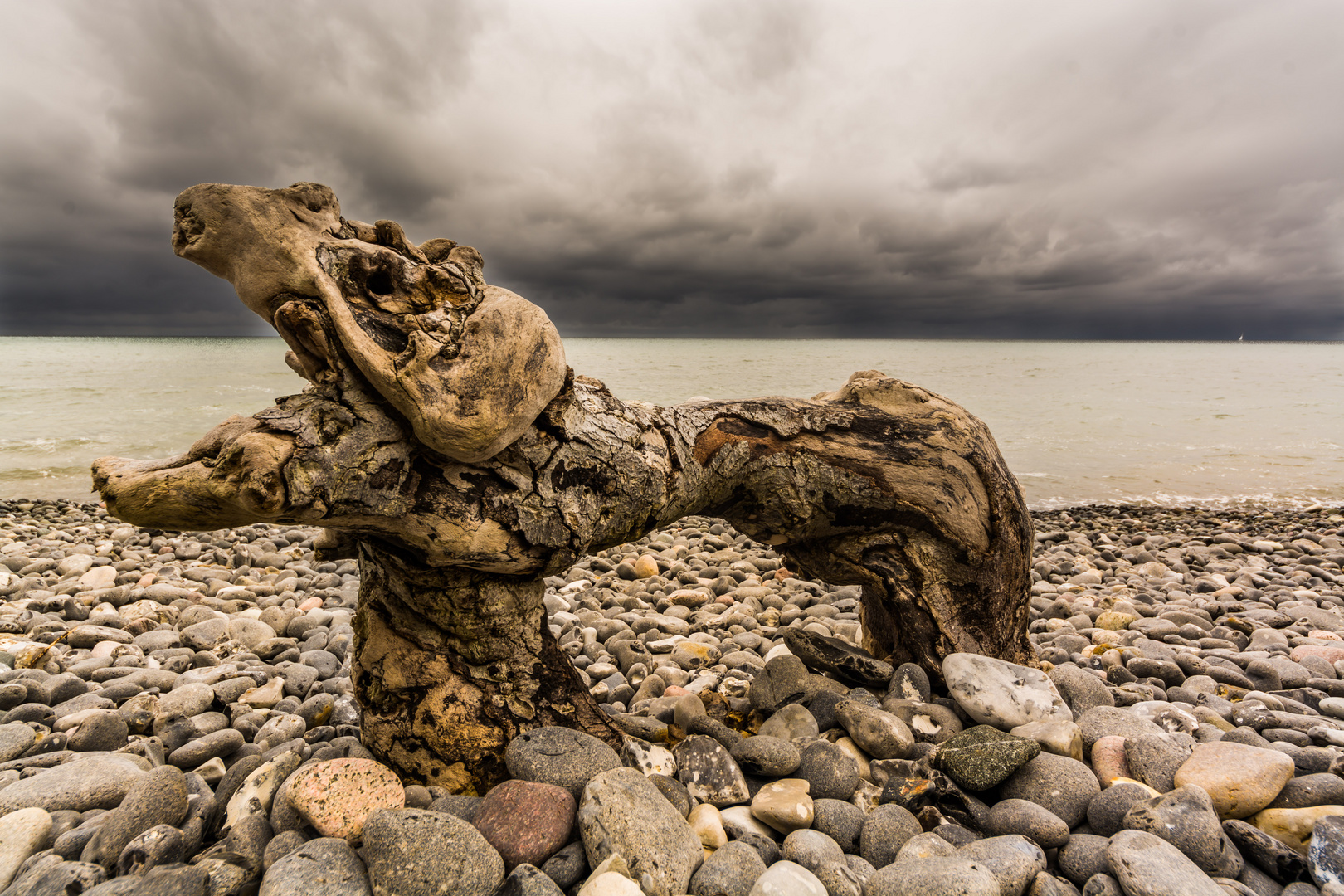 Am Strand von Mön gelandet - 2