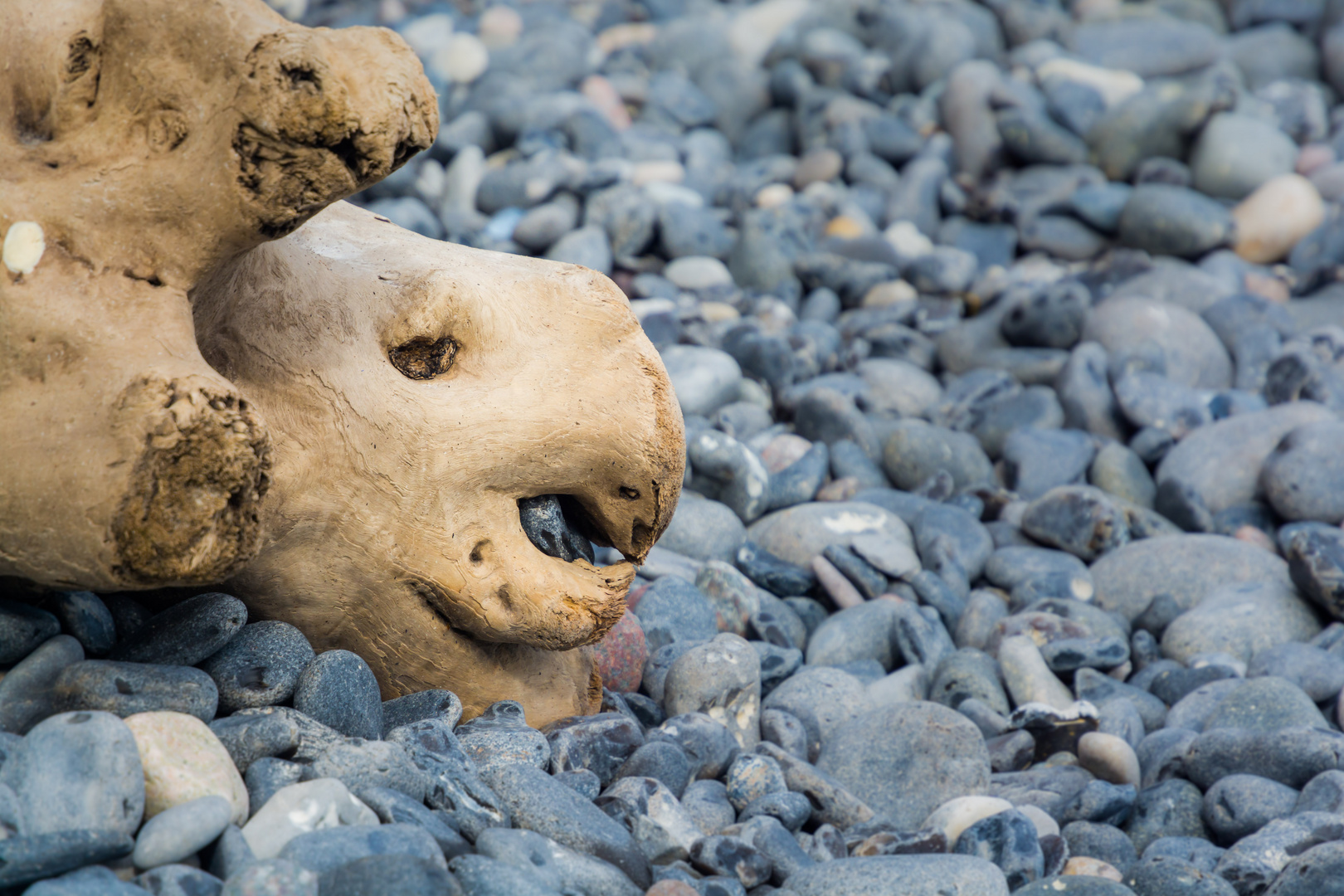 Am Strand von Mön gelandet