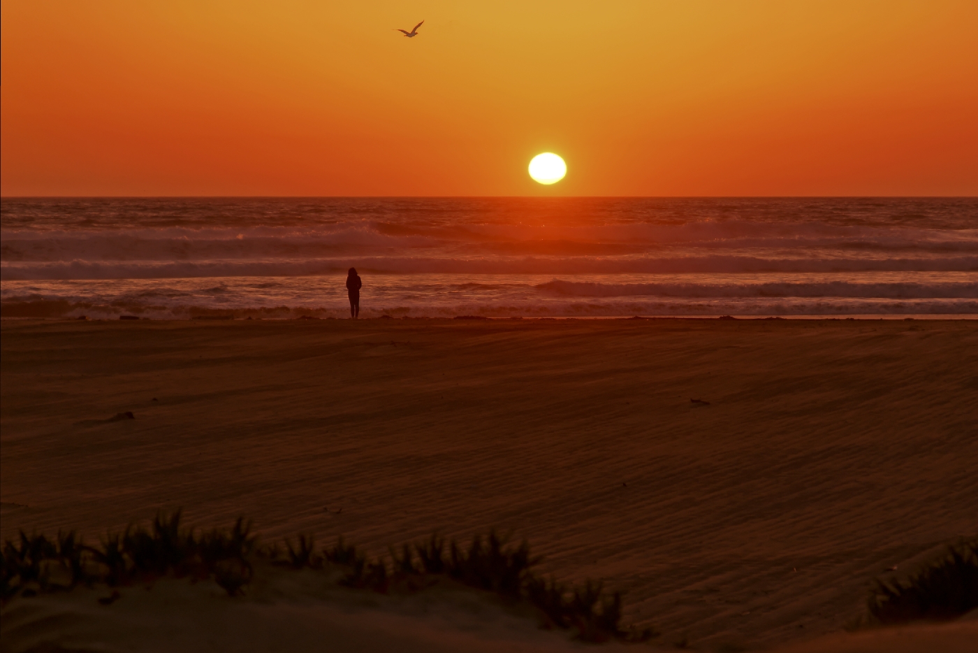 Am Strand von Morro Bay