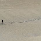 Am Strand von Mt Saint Michel