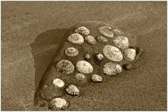 Am Strand von Mulhanny