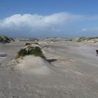 Am Strand von Nebel (Amrum)