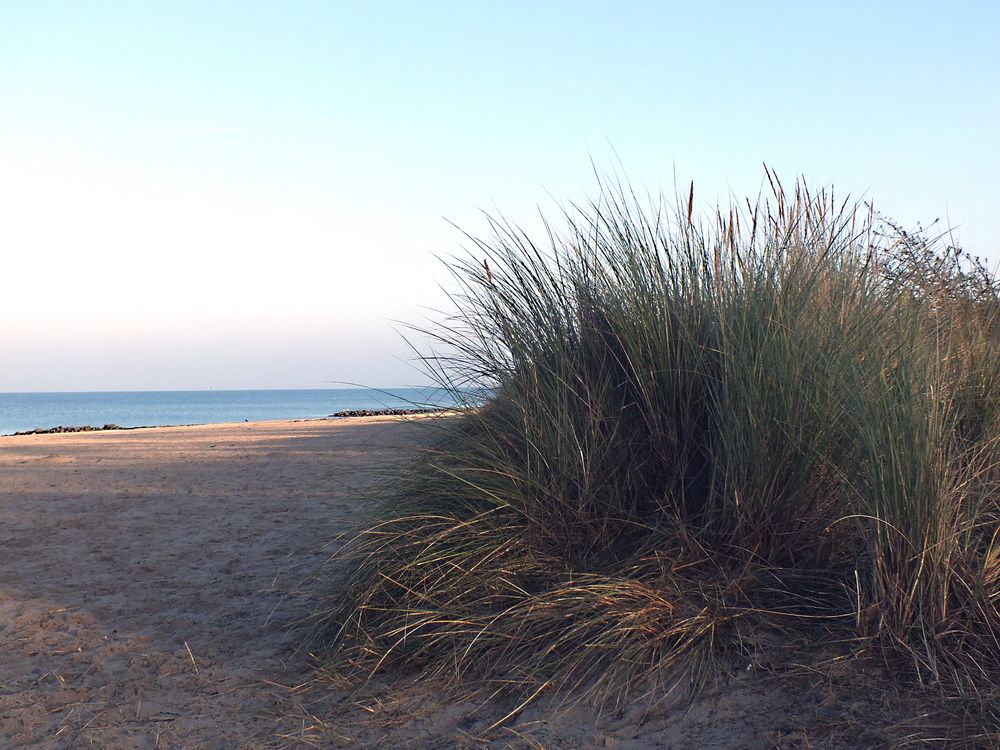 Am Strand von Niendorf/Ostsee