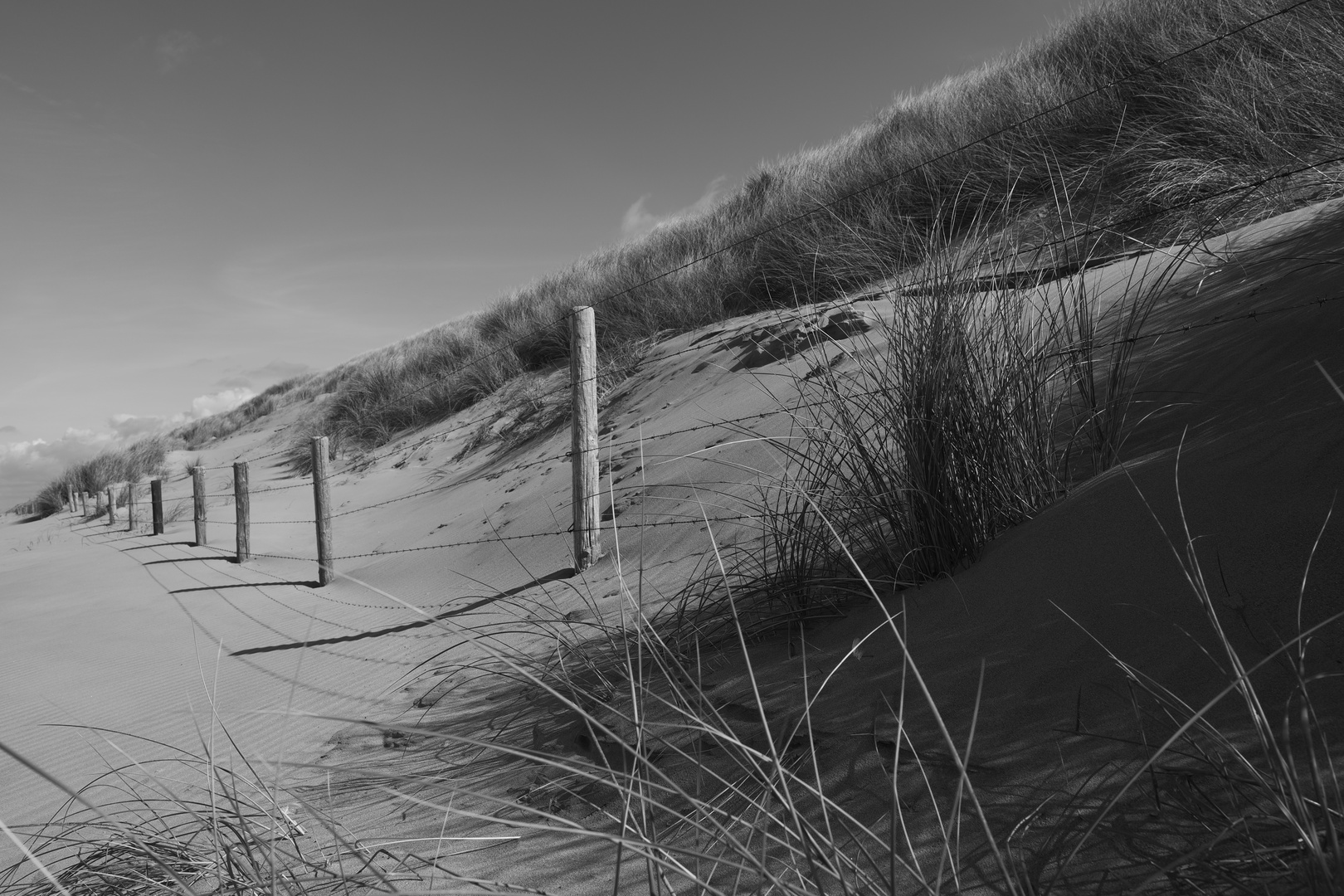 Am Strand von Noordwijk