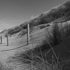 Am Strand von Noordwijk